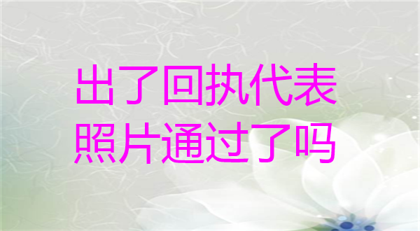 出了回执代表照片通过了吗？