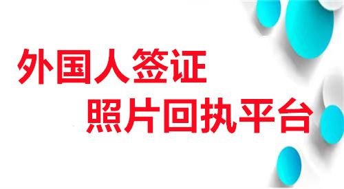 外国人签证照片回执平台